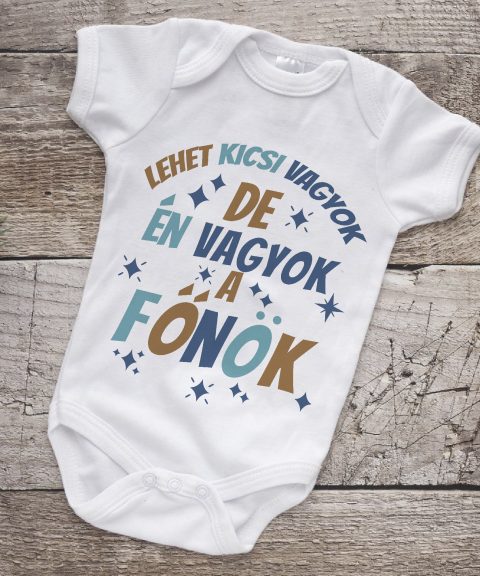 Lehet kicsi vagyok, de én vagyok a főnök gyerek body