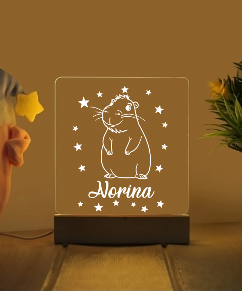 Capybara névre szóló gyerek éjjeli led lámpa
